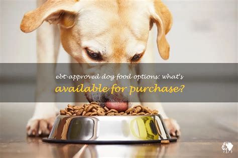 Can I Buy Dog Food with EBT? Exploring the Intersection of Pet Care and Government Assistance