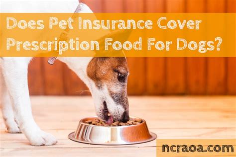 Does Pet Insurance Cover Prescription Dog Food and Why Do Cats Always Land on Their Feet?