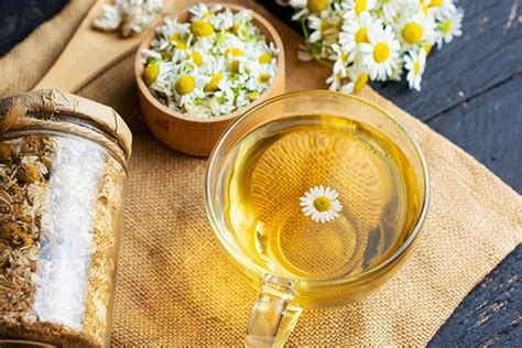 Is Chamomile Tea Green Tea? Exploring the Intricacies of Herbal Infusions