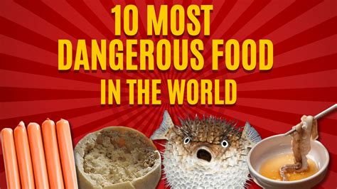 What is the Most Dangerous Food in the World? And Why Does It Taste Like Regret?